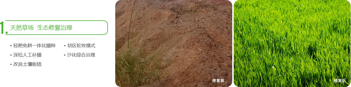 豐年生農(nóng)